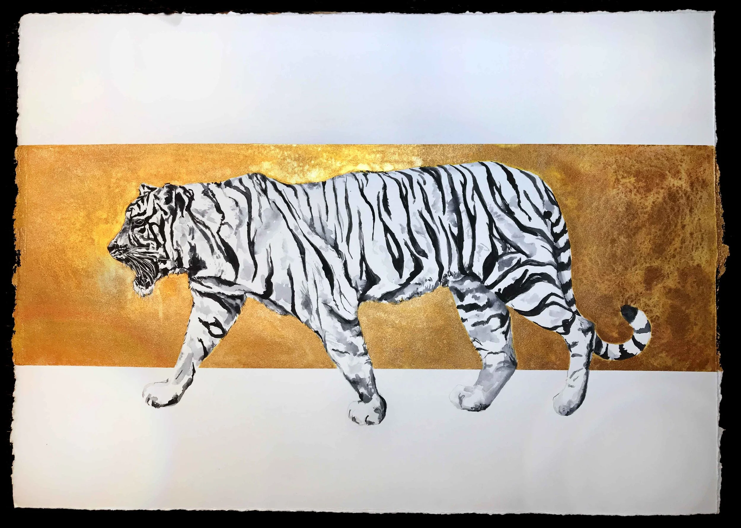 Bengal & Bronze - Featured in the 8th Annual Nature & Wildlife Exhibition