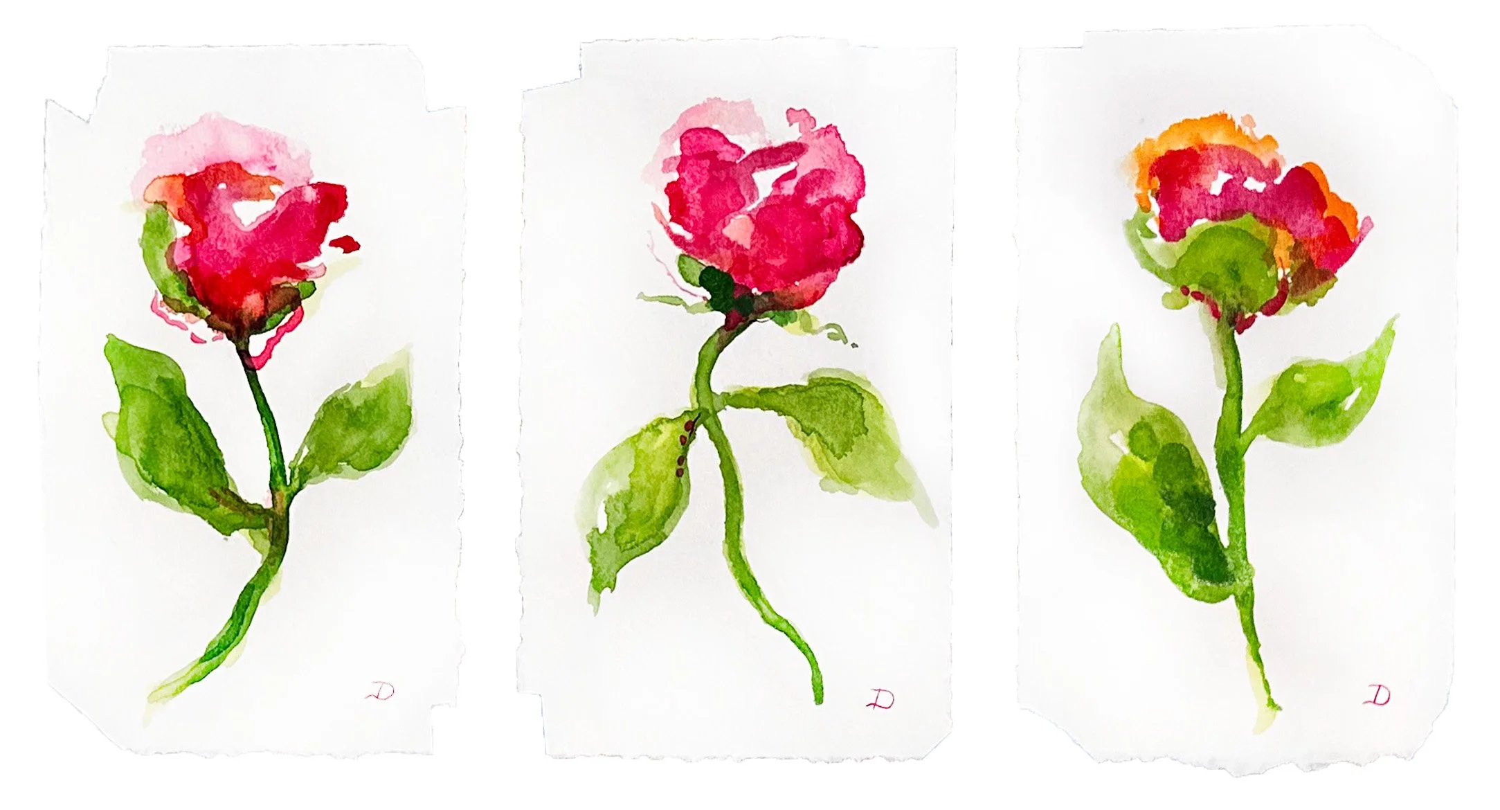 ROSES FOR ROSIE