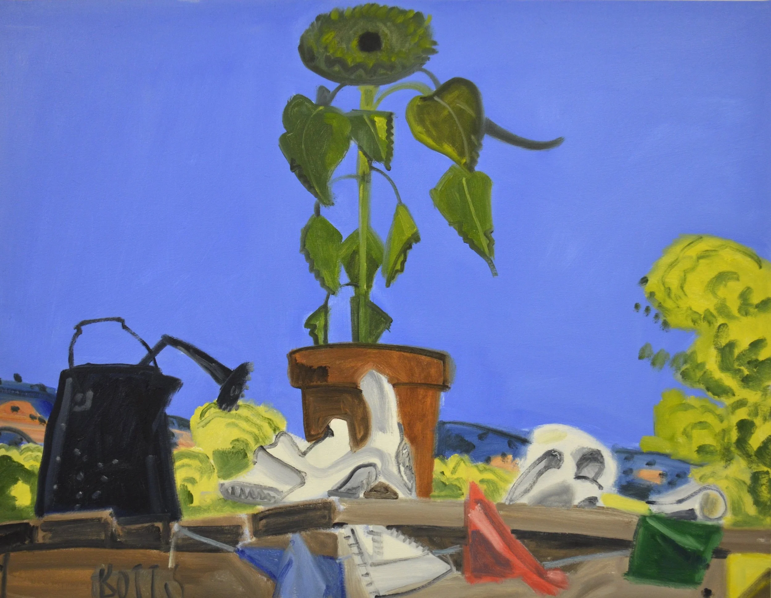 August Sunflower NM, 30 x 40", o/c, 2014