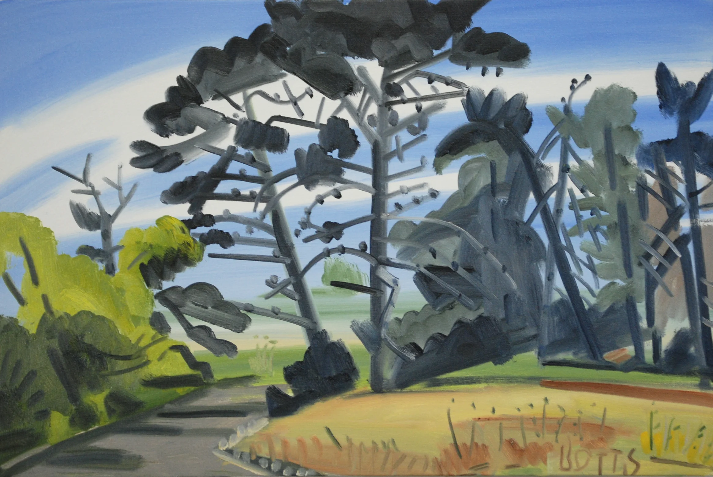 OLD PINE AT HEAD OF LAGOON, 16x 32", o/c, 2011