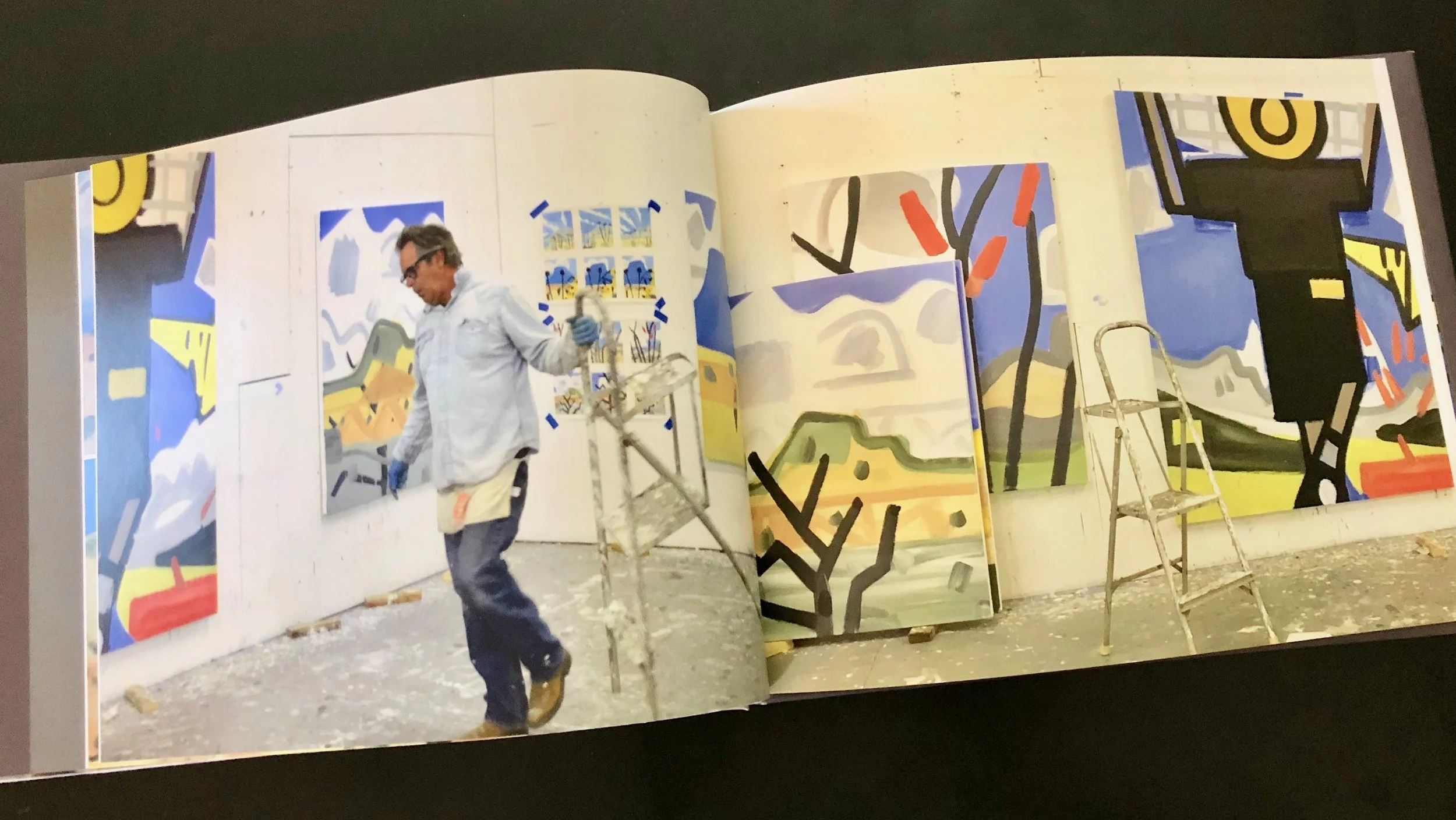 Catalogue accompanying show, Telluride Arts