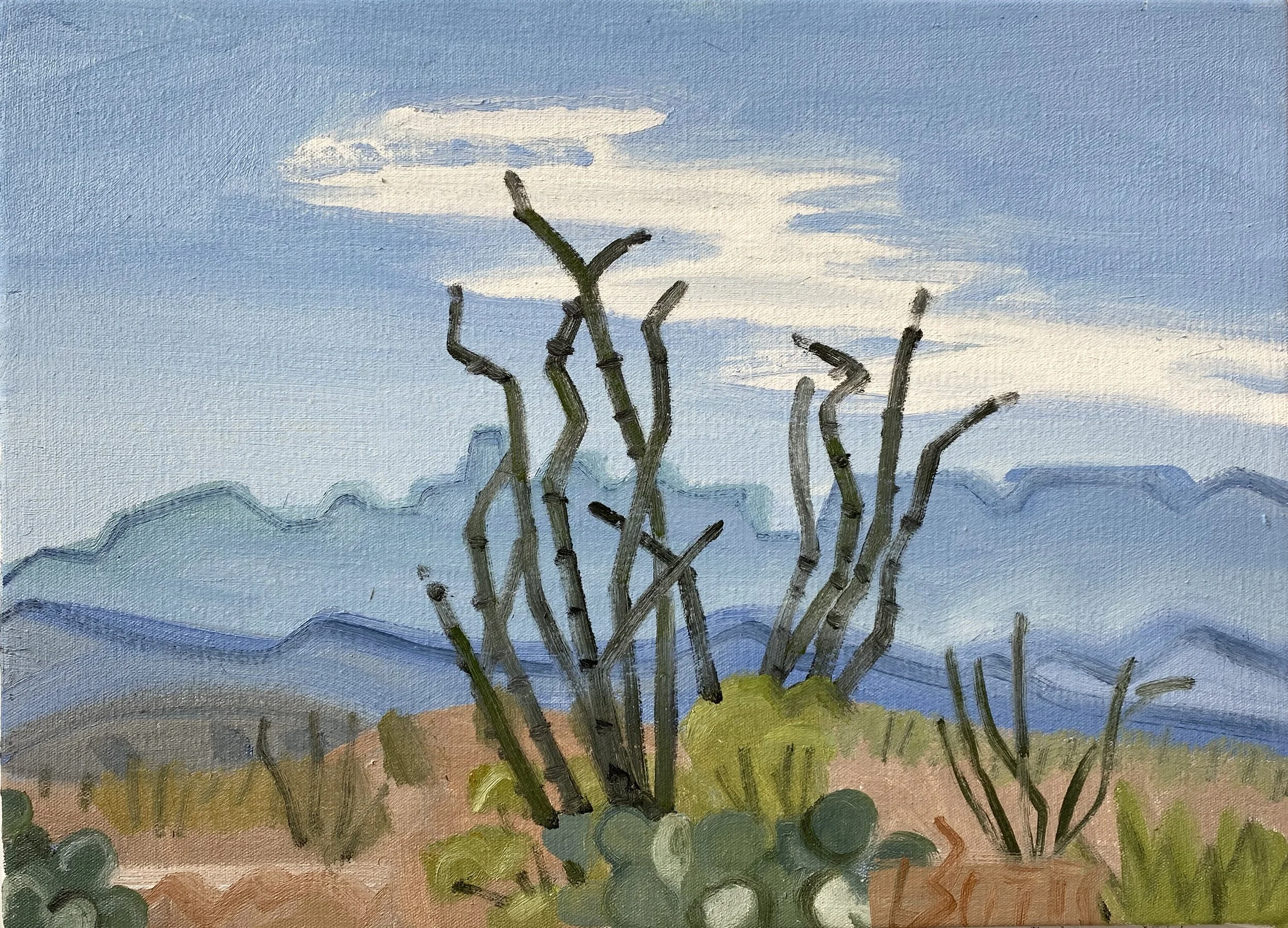 Ocotillos and Morning Mountains #1, 14 1/2 x 20, oil on canvas, 2020