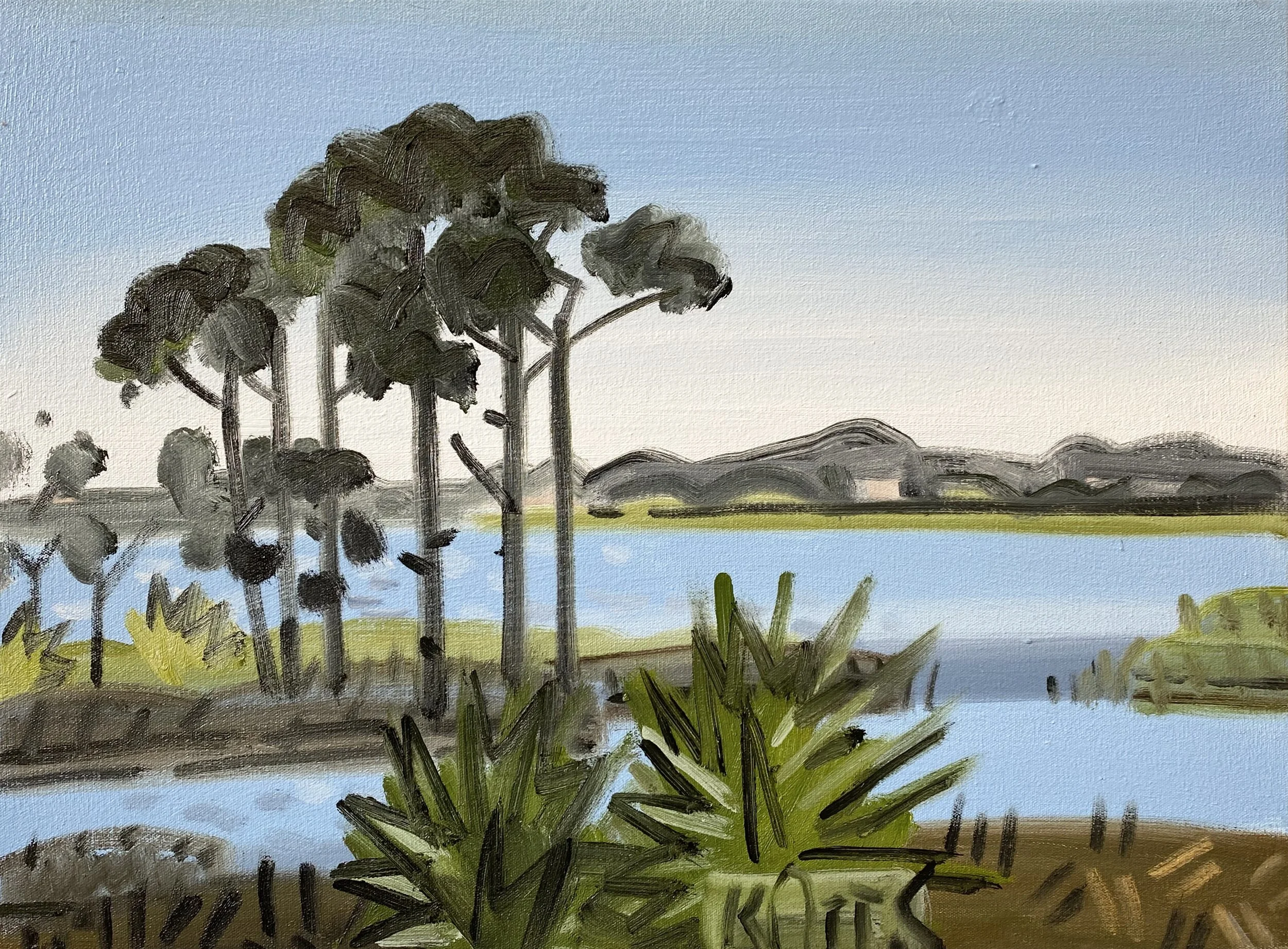 Grayton Beach Reserve, 18 x 24, o/c, 2020