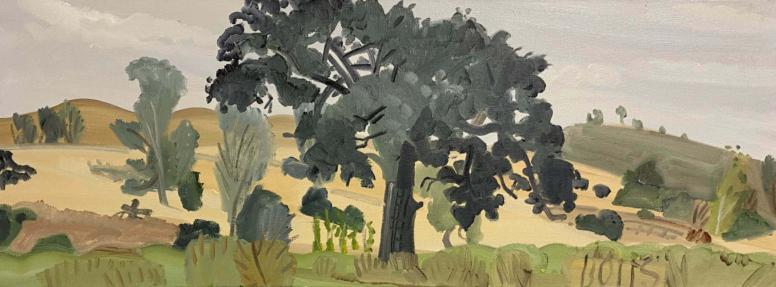 Morning Oak, Sedgewick