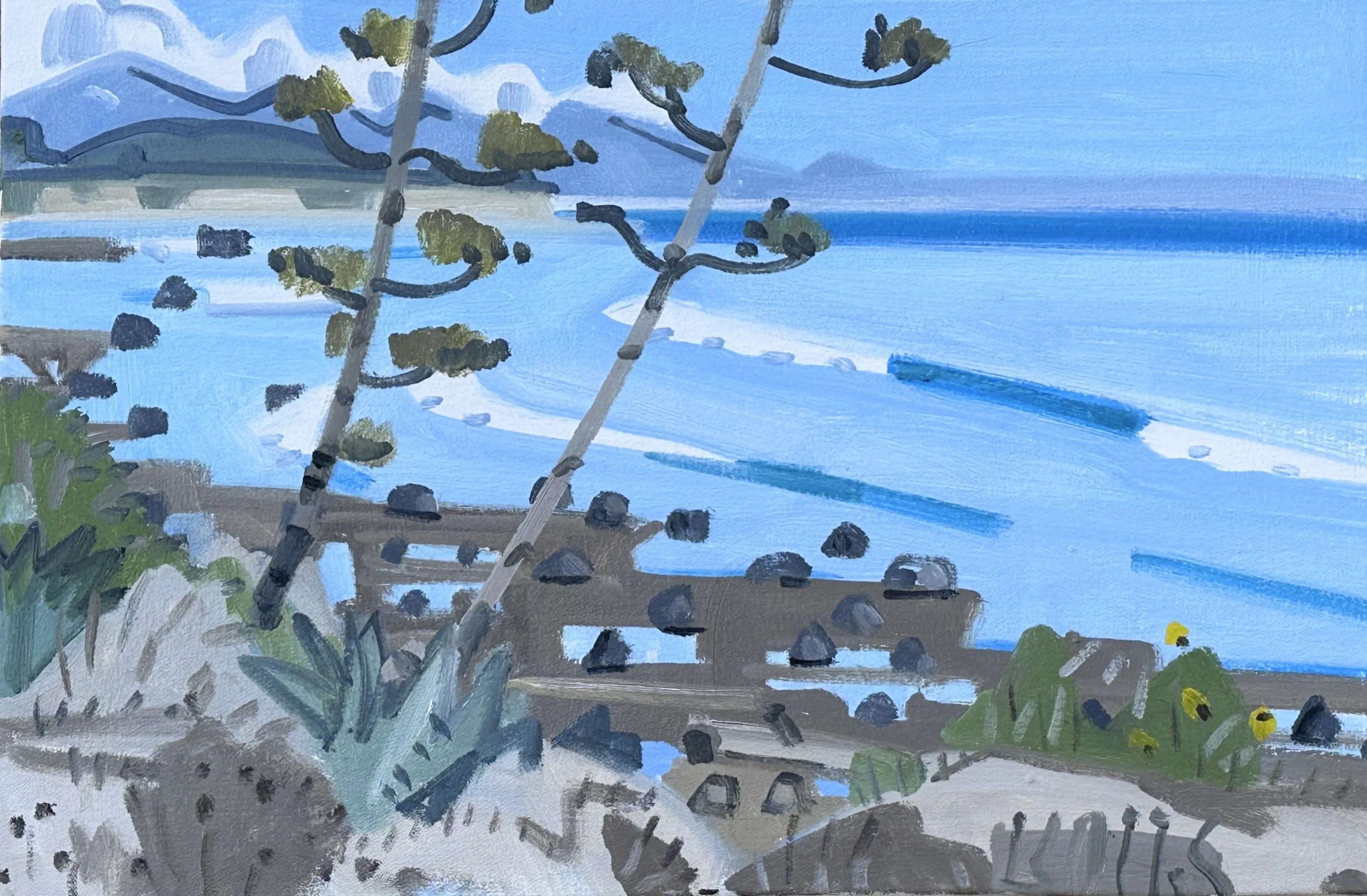 Coal Oil Point, East towards Magueys, 16 x 24" , oil on canvas, 2025