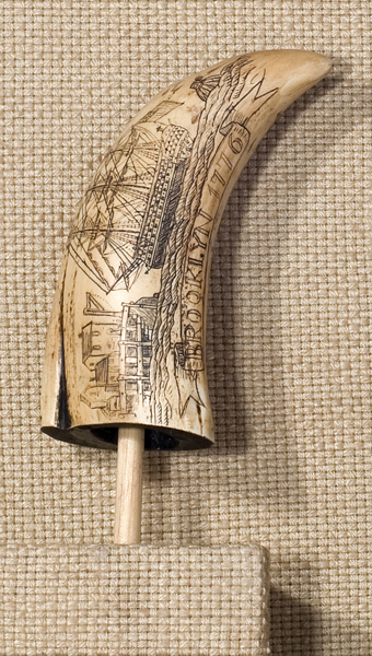 Schrimsaw, 2007 (Detail)