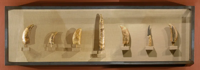 Scrimshaw Vitrine, 2007