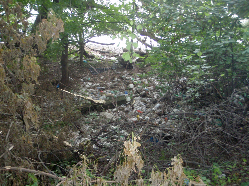 Garbage rings Petty’s Island