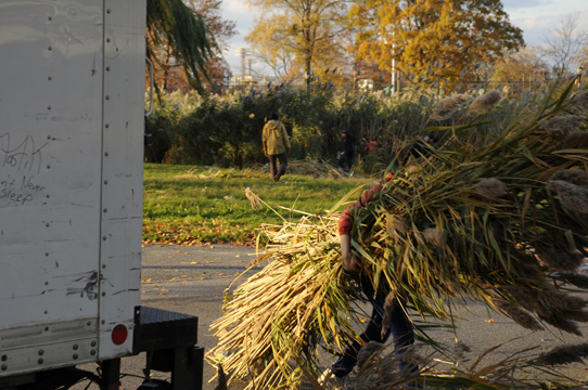 The harvesting stretched into the fall.