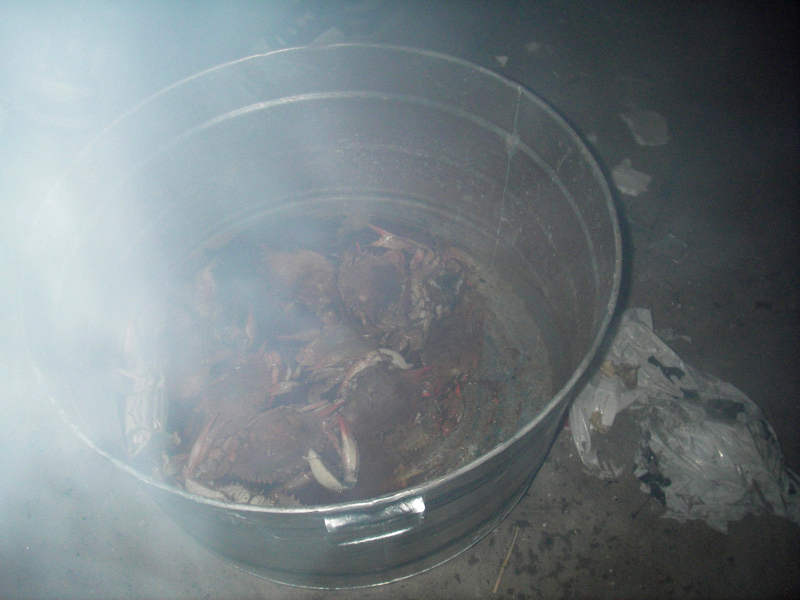   Then we cooked up some crabs.  