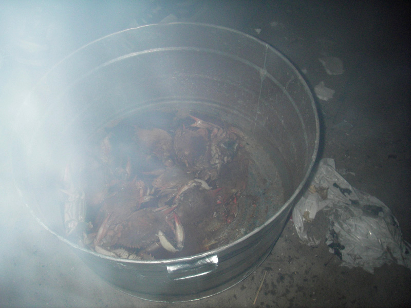 Then we cooked up some crabs.