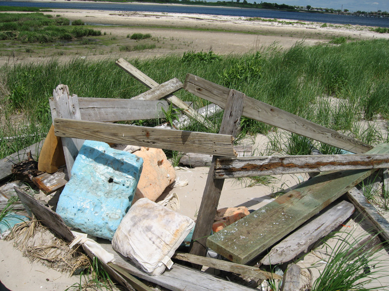  The area has a lot of wood and remnants from boats that wash ashore. 