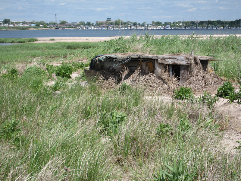  Some homeless people have used these remains to build shelters. 