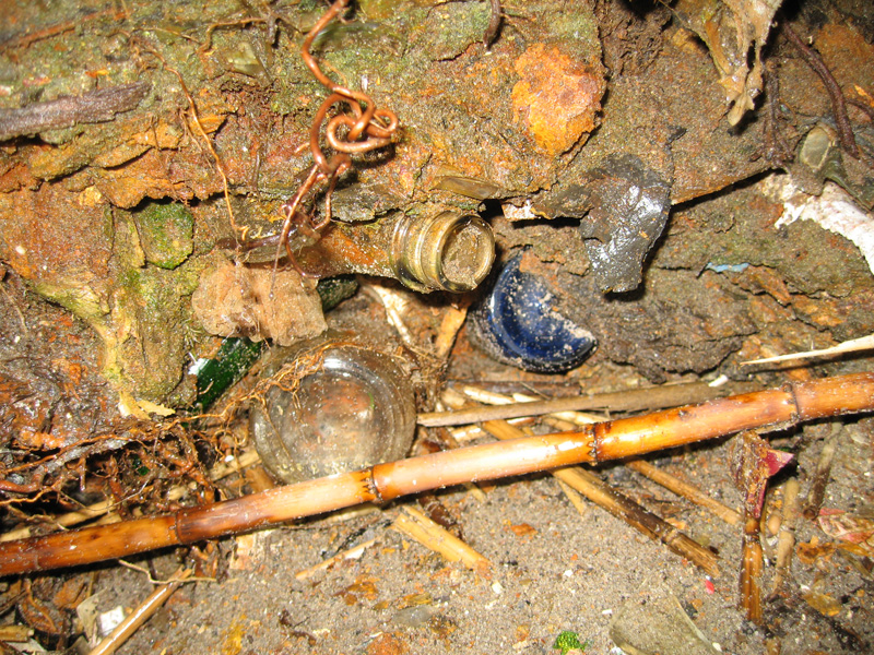  The bottles used for the bar were excavated from the ground surrounding the site. 