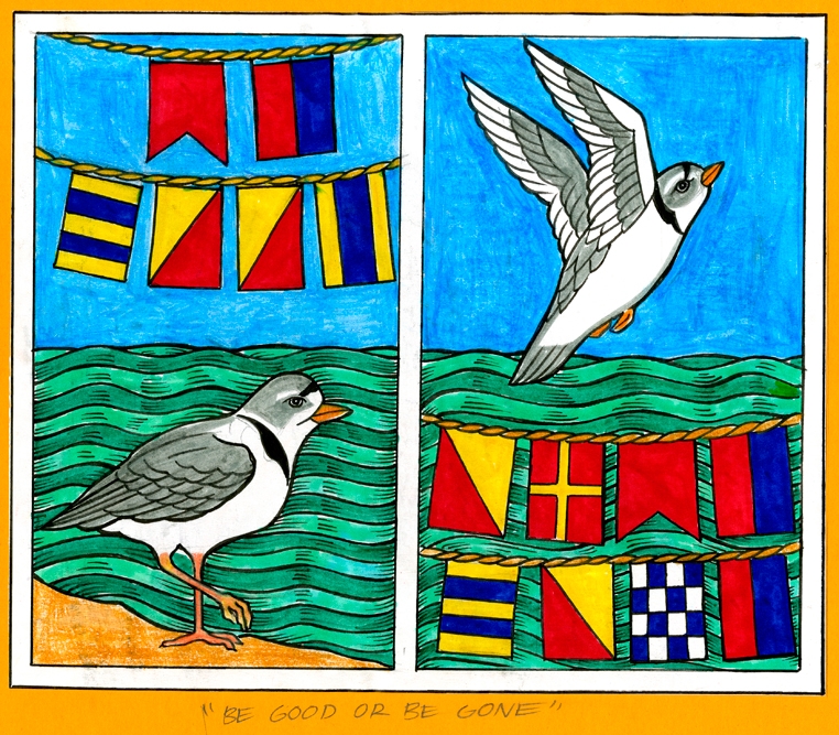  One endangered local resident: the Piping Plover. &nbsp;Nautical flags: Be Good or Be Gone. 