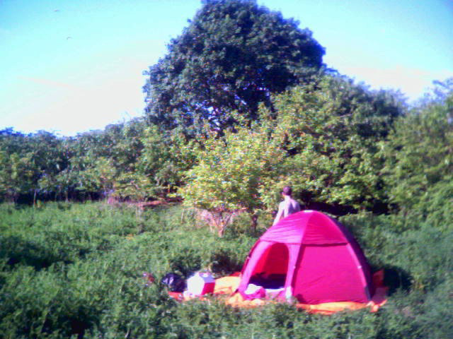 Waking up. Mill Rock Island