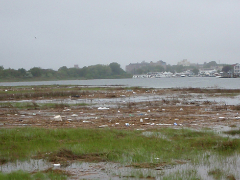 As are some local beaches in Queens.
