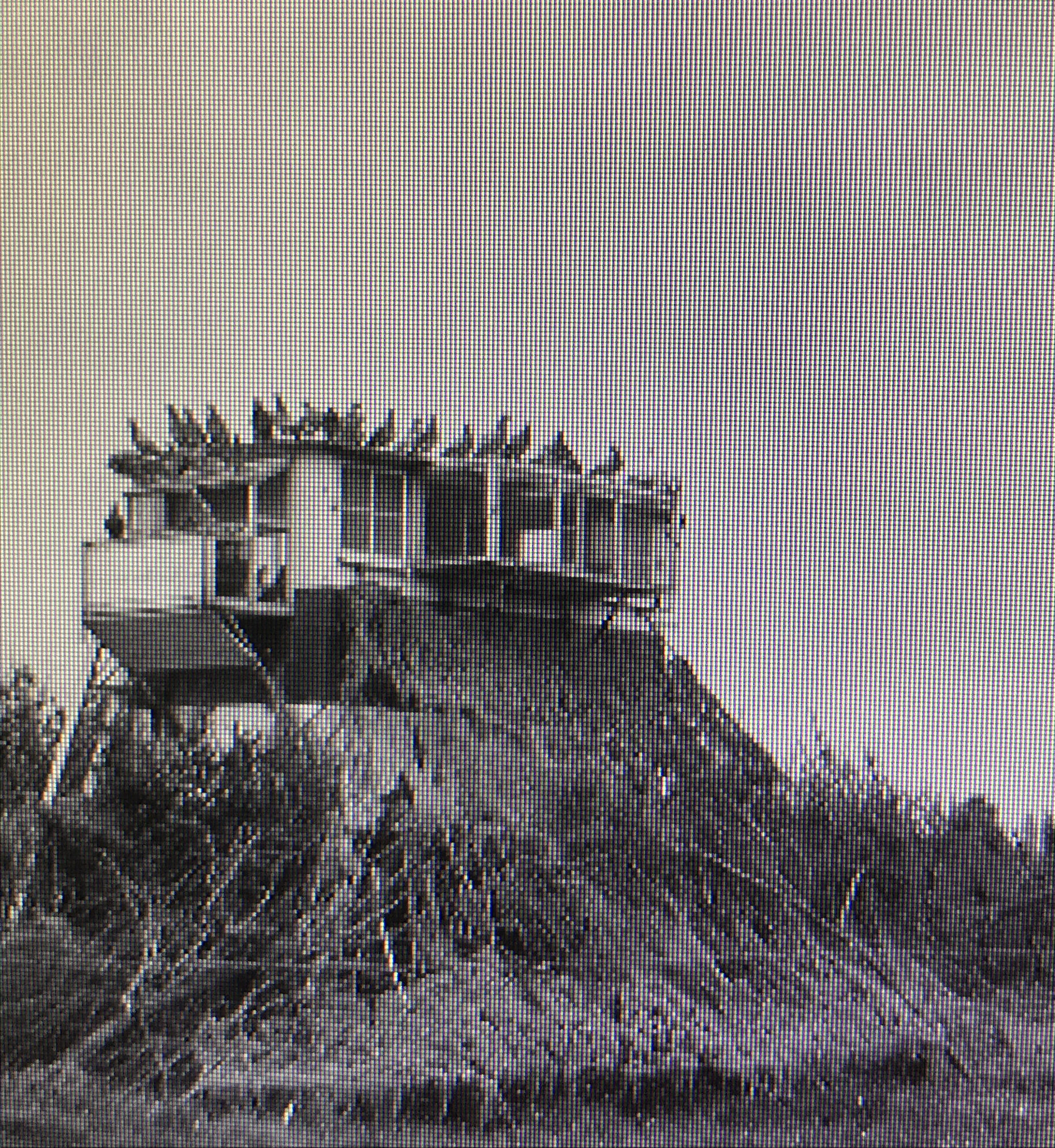  WWI Mobile Pigeon Deployment Vehicle Surrounded by Sticks for Camoflage 