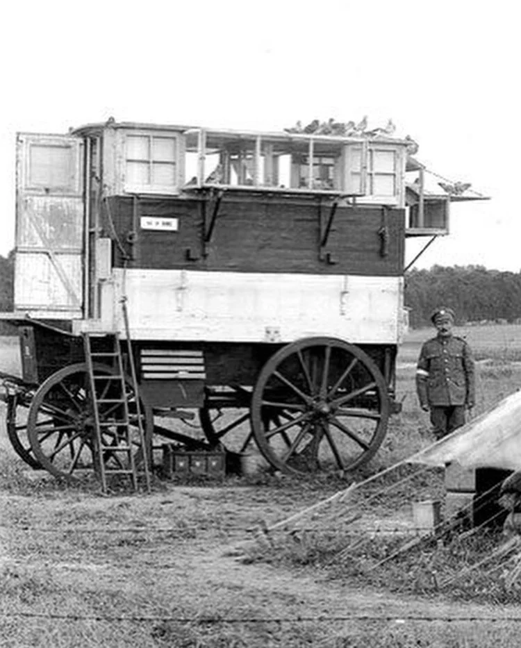 WWI Mobile Pigeon Deployment Vehicle