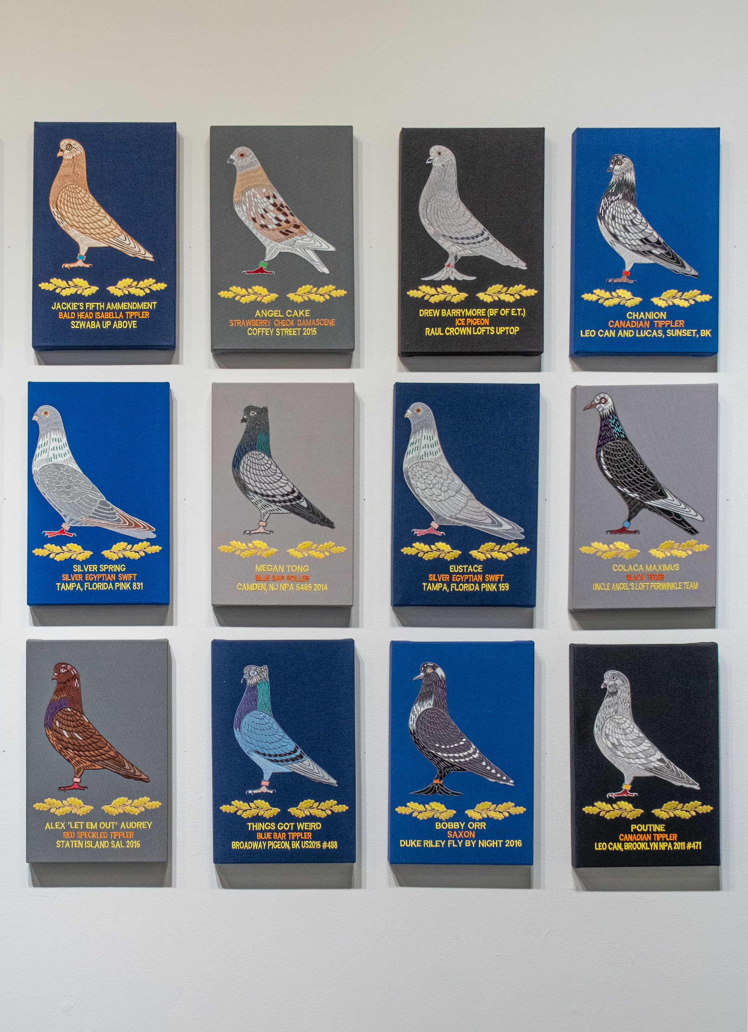 pigeons.png
