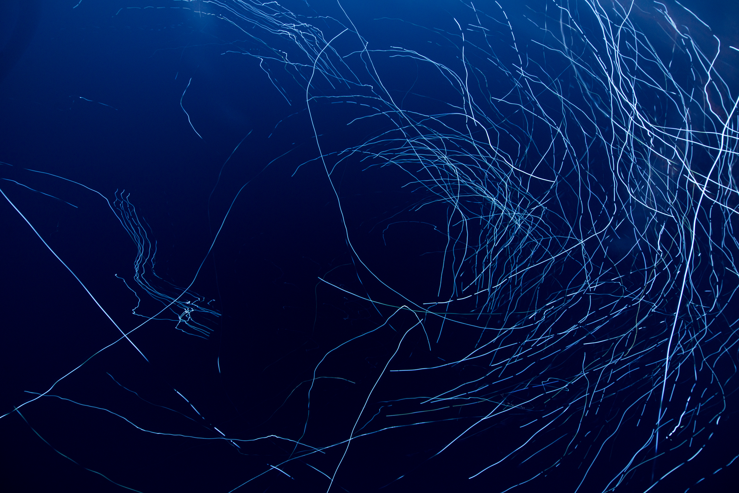 DukeRiley_FlyByNight_03_LR.png