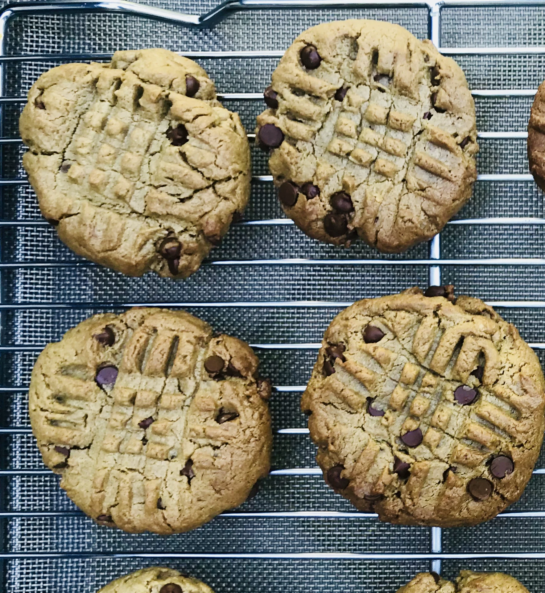 Sunflower Seed Butter Cookies.jpg