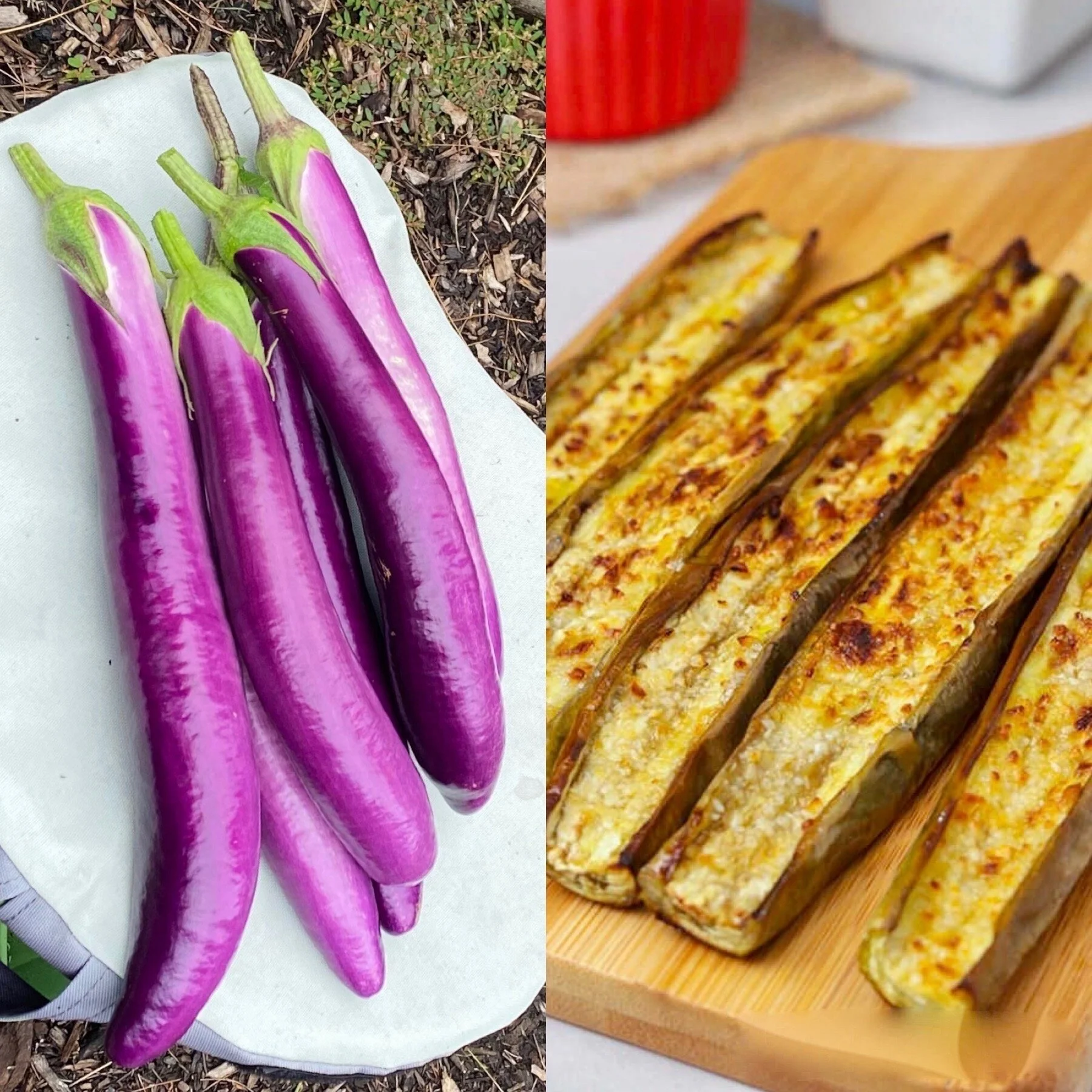 Roasted Japanese Eggplant — Aimee Rein