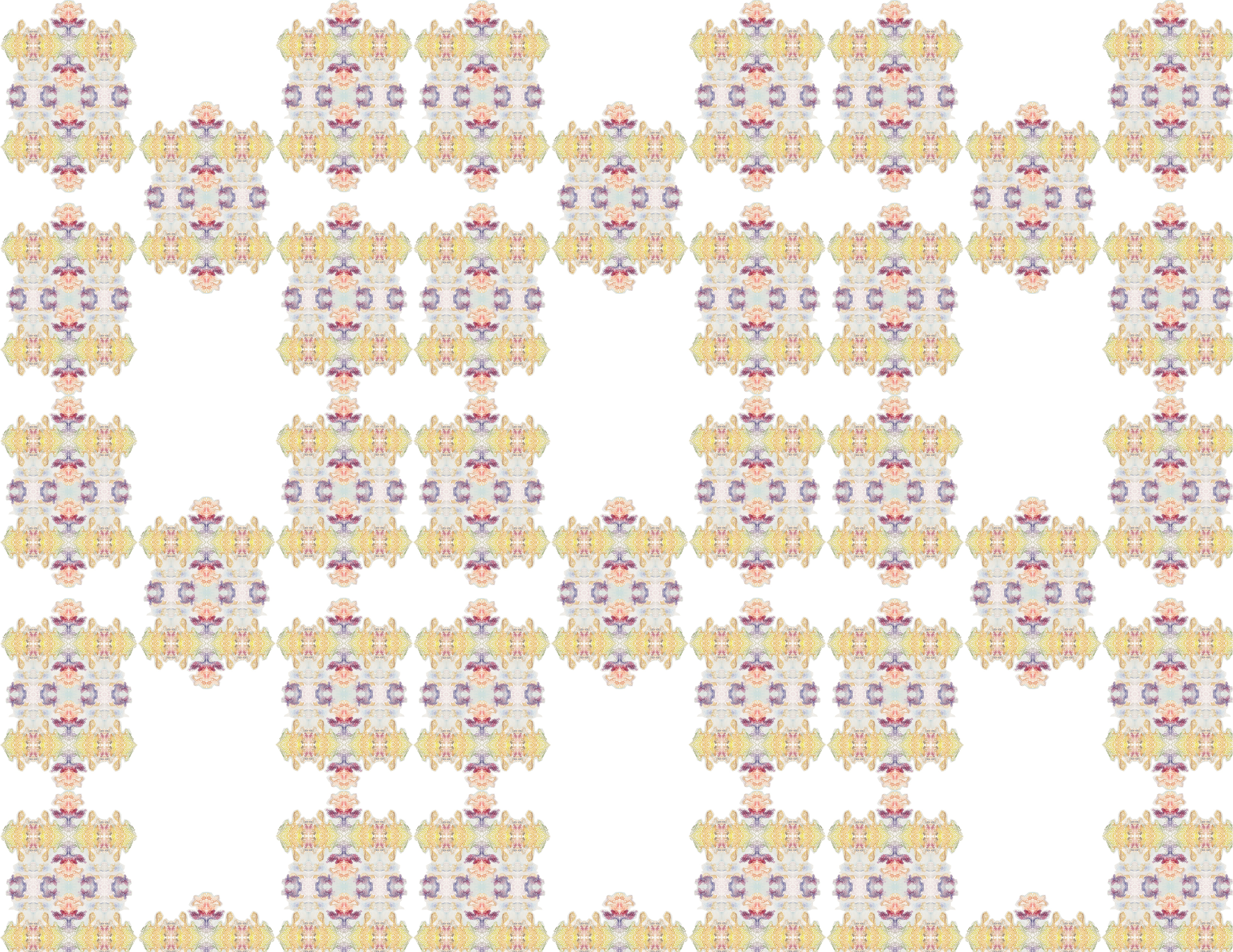 Canavan ISP FINAL PRESENTATION DOCUMENT 121.jpg