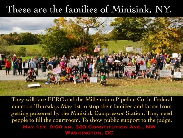 In 2011, Asha Canalos, along with her neighbors in Minisink, NY, launched what would become a nearly four-year battle against the gas industry and the the Federal Energy Regulatory Commission (FERC)- the agency responsible for approving over 99% of all fracked gas infrastructure proposals submitted- when a compressor station was slated for their agricultural and residential community. Minisink's case lasted nearly two years as a FERC docket before going on to the U.S. Court of Appeals, where it was heard in 2014. Though the community lost at the federal level, Minisink residents publicly disclosed previously unknown information about FERC's approval process, and set several important precedents, helping other communities currently under siege, and engaging the press, elected officials, activists, and the general public. More information is available at Minisink Matters and Stop the Minisink Compressor Station .
