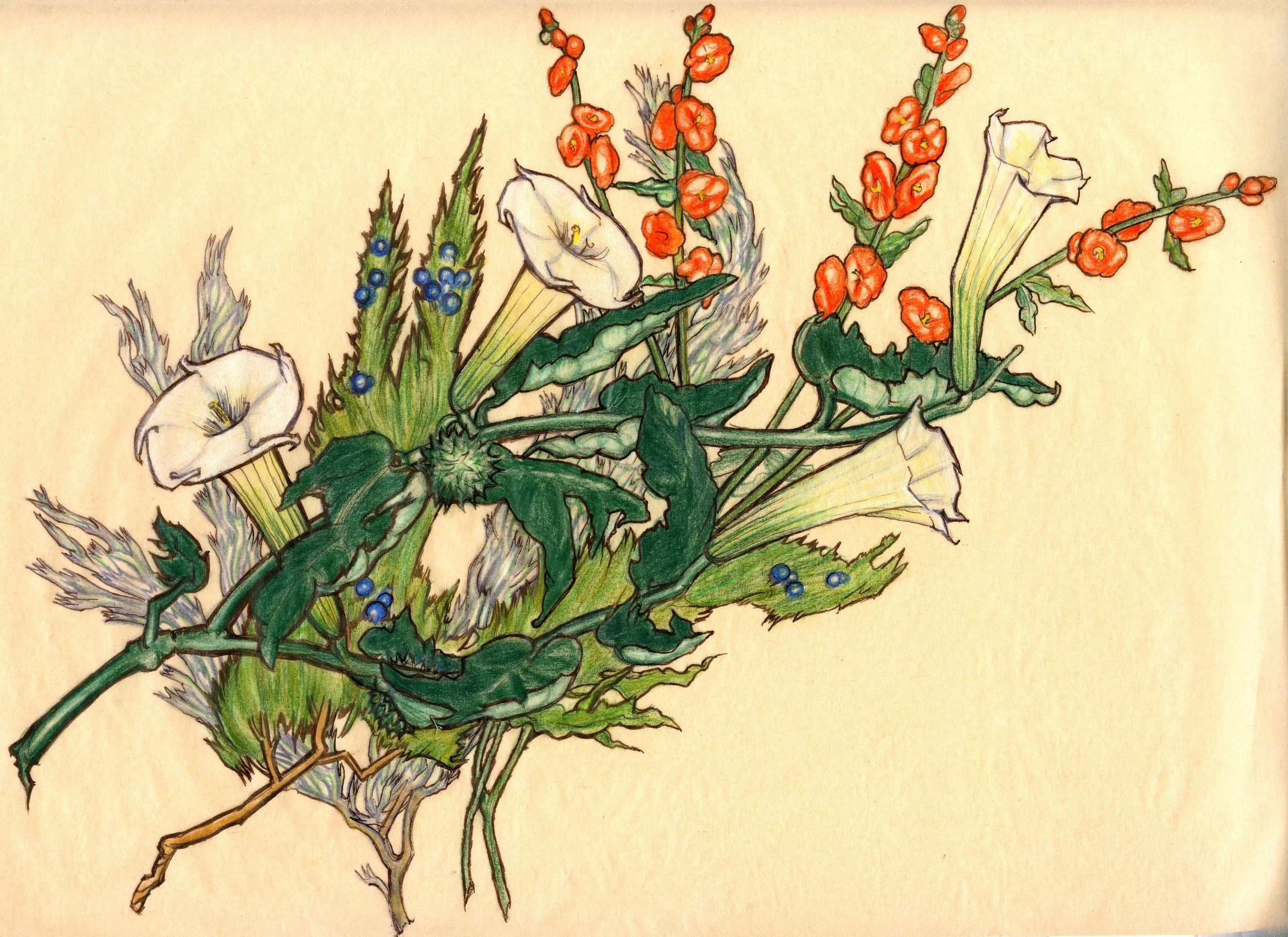   Datura, Mallow, Juniper, Sage.  2019. Colored pencil and ink on vellum, 8” x 14.” 