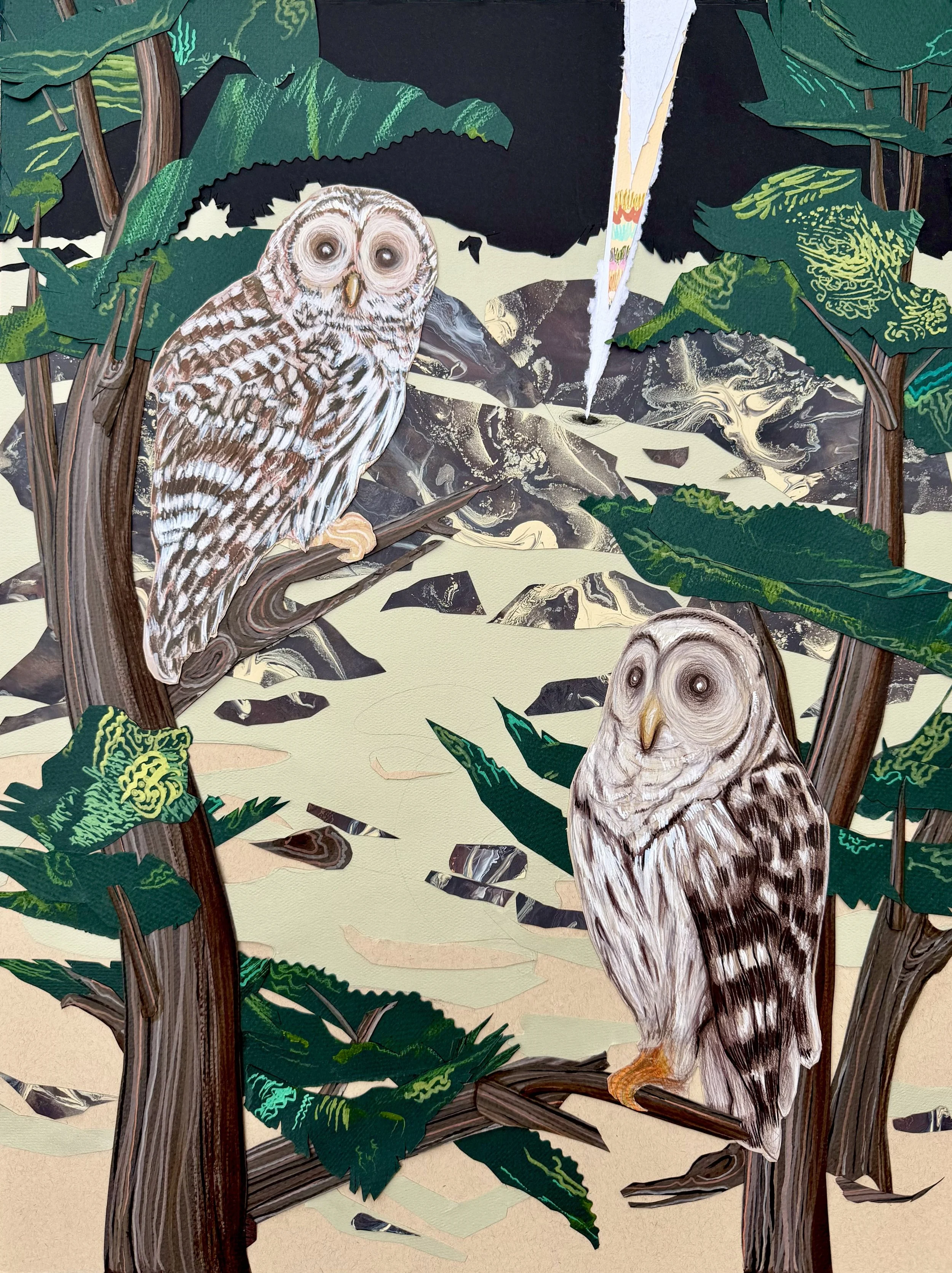    ‘Barred Owls and a Beam of Light Emerging From a Hole in the Ground Behind Them.’    Asha Canalos. Acrylic, ink, and colored pencil, ink, on collaged archival paper, 24” x 18.” 2026. 