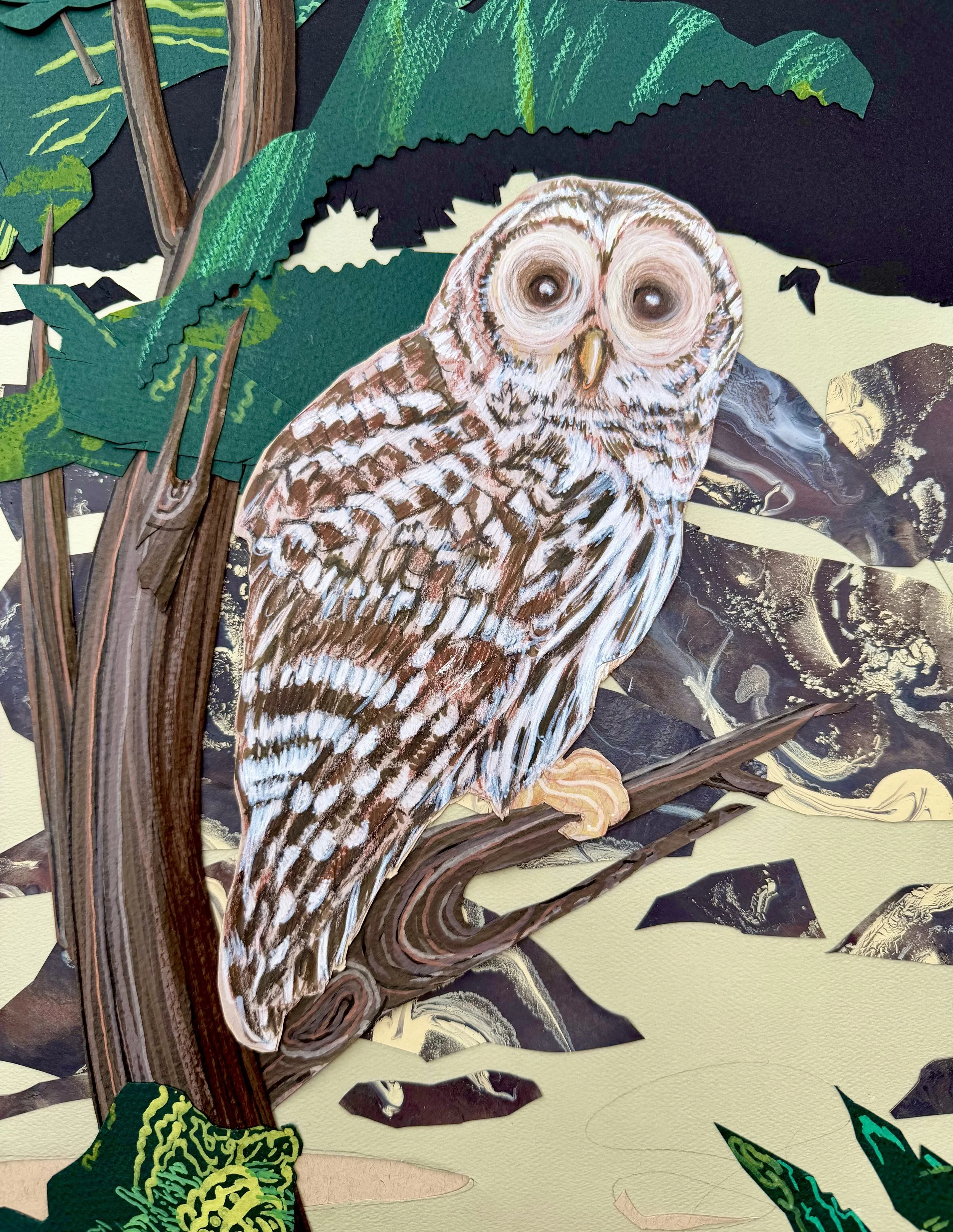  Detail from   ‘Barred Owls and a Beam of Light Emerging From a Hole in the Ground Behind Them.’     