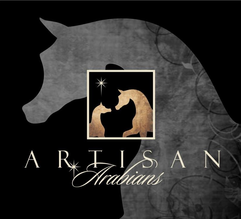 Google_Artisan_Arabians.png