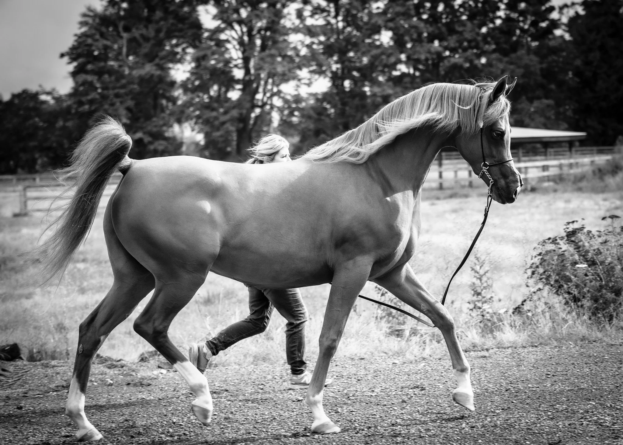 _DSC4621 (1)-3.jpg