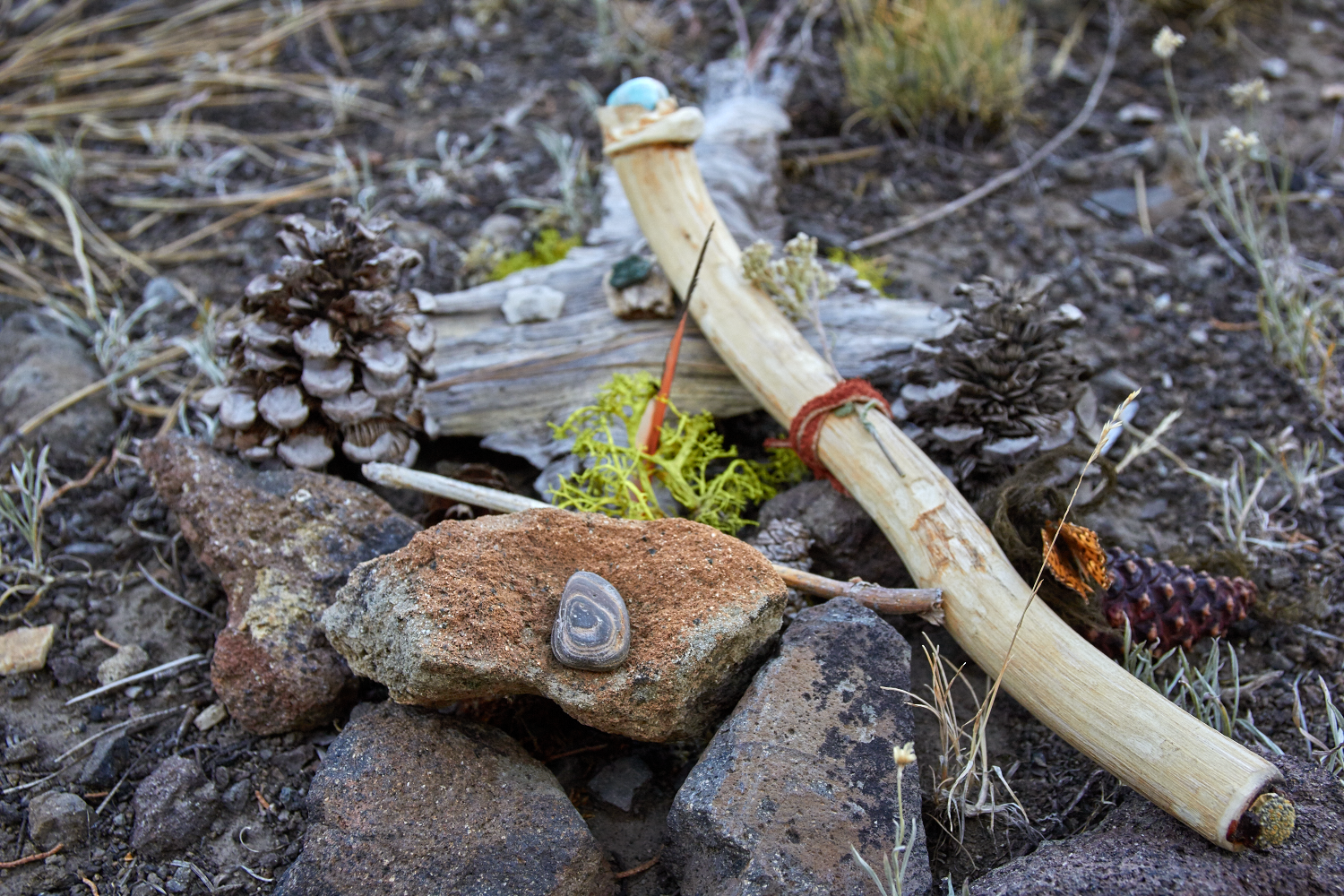Create altars in nature as offerings of gratitude to the plants. © Scott Kloos. 2015. All Rights Reserved.