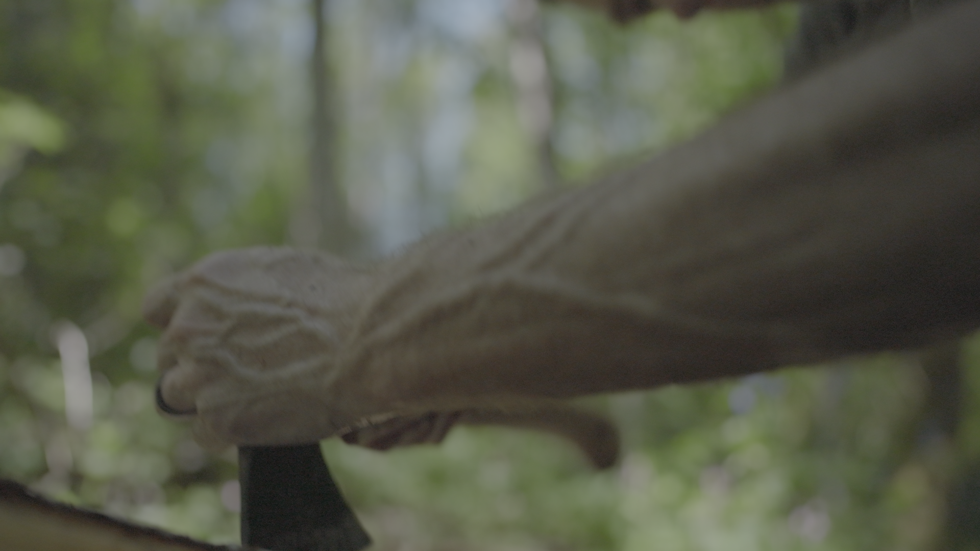 Stripping Bark_WC Banner_3.1.1.png