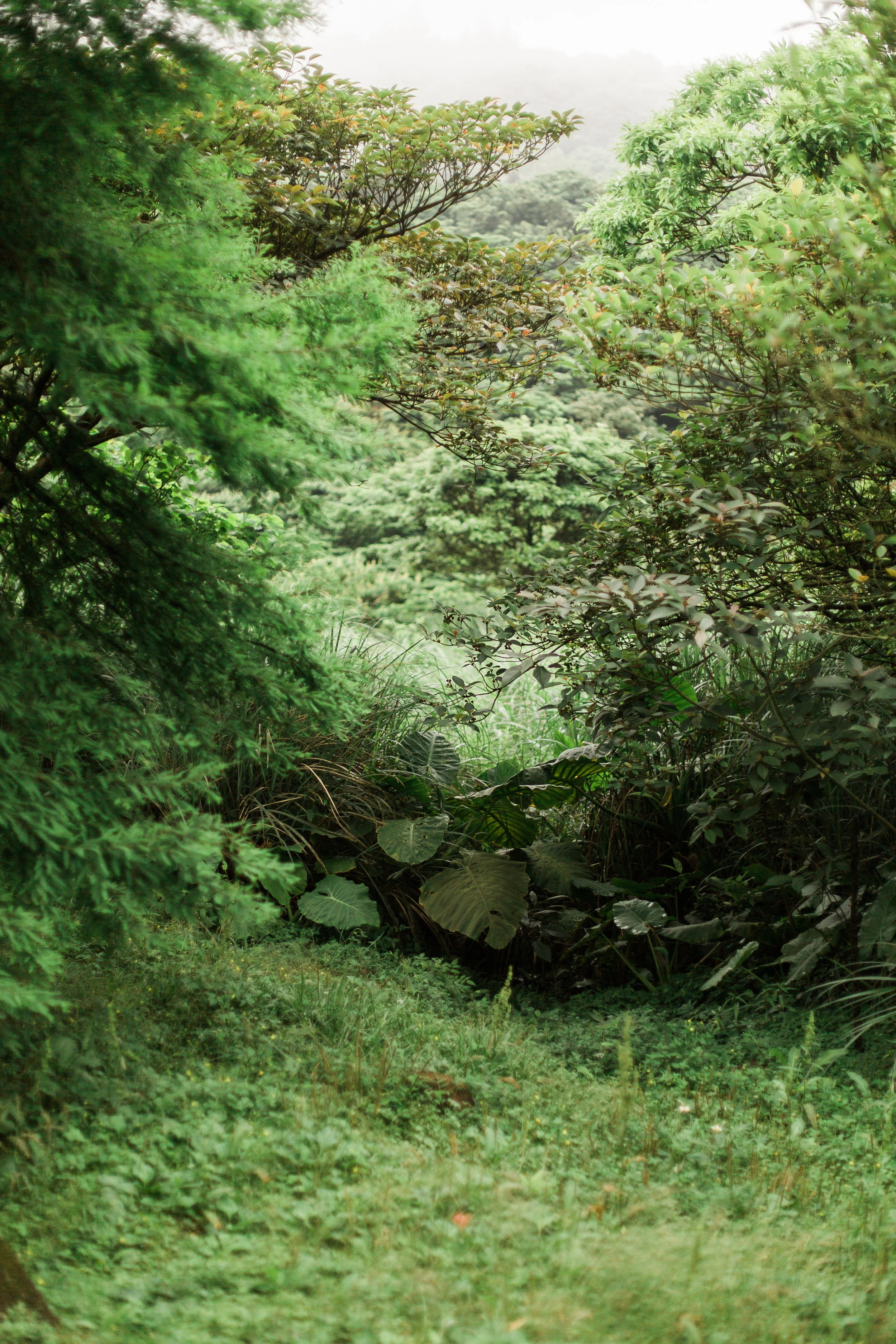 0F6A5689.jpg