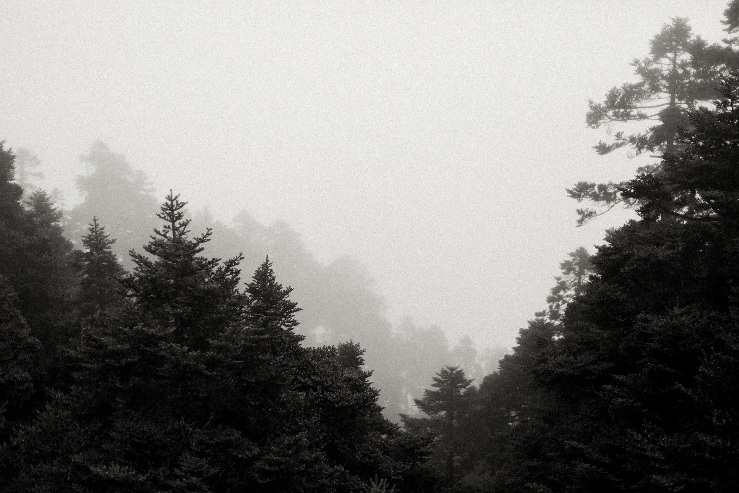 0F6A5780.jpg