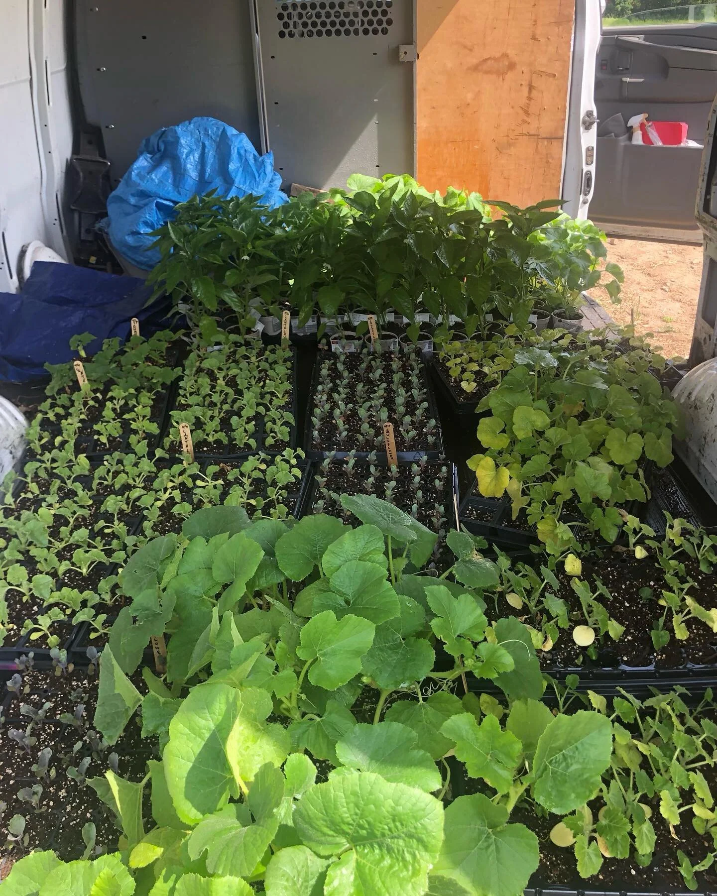 Before and after one day of planting at our Lakeville location. This week, our team has been hard at work preparing and planting rows at the farm!