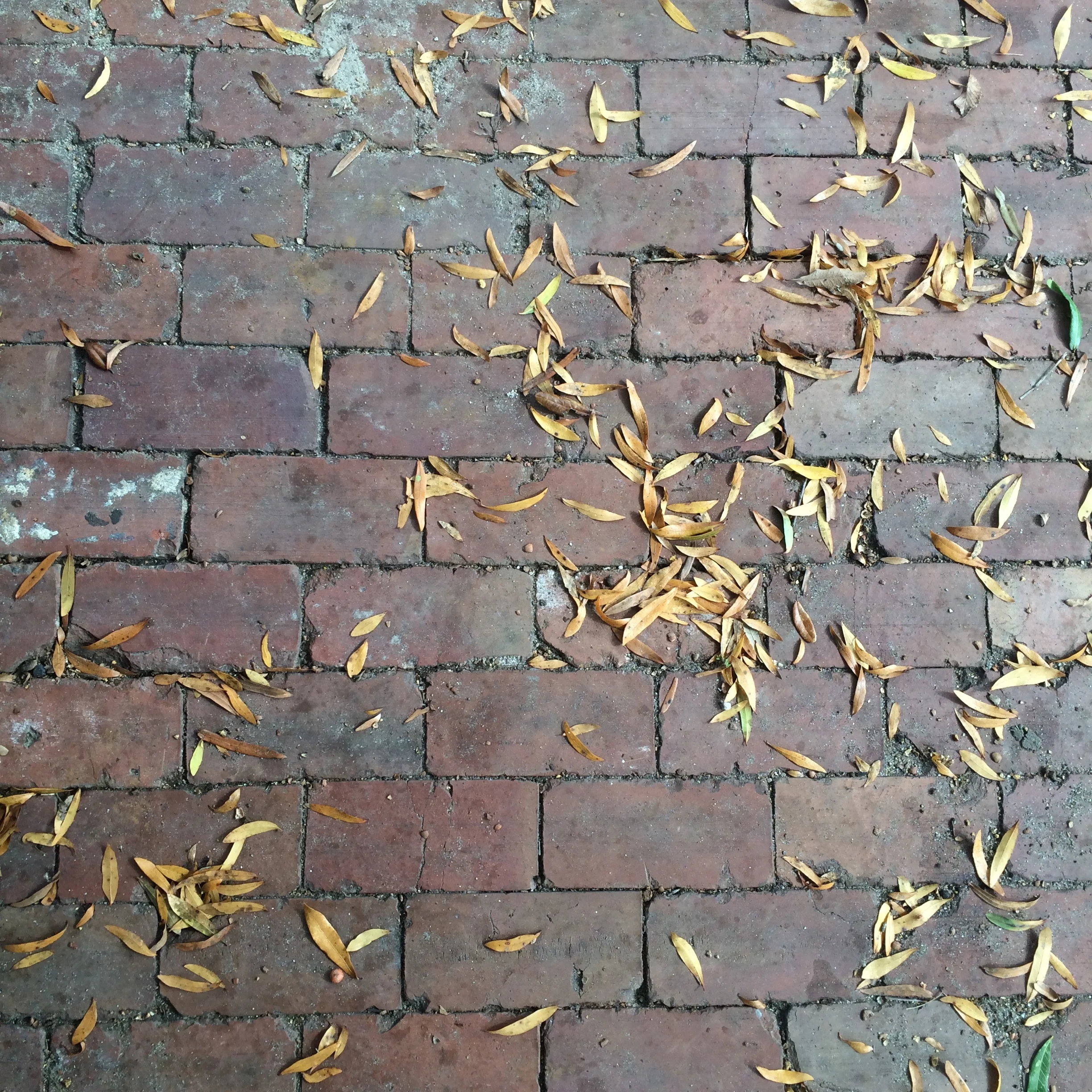 Antique Pavers