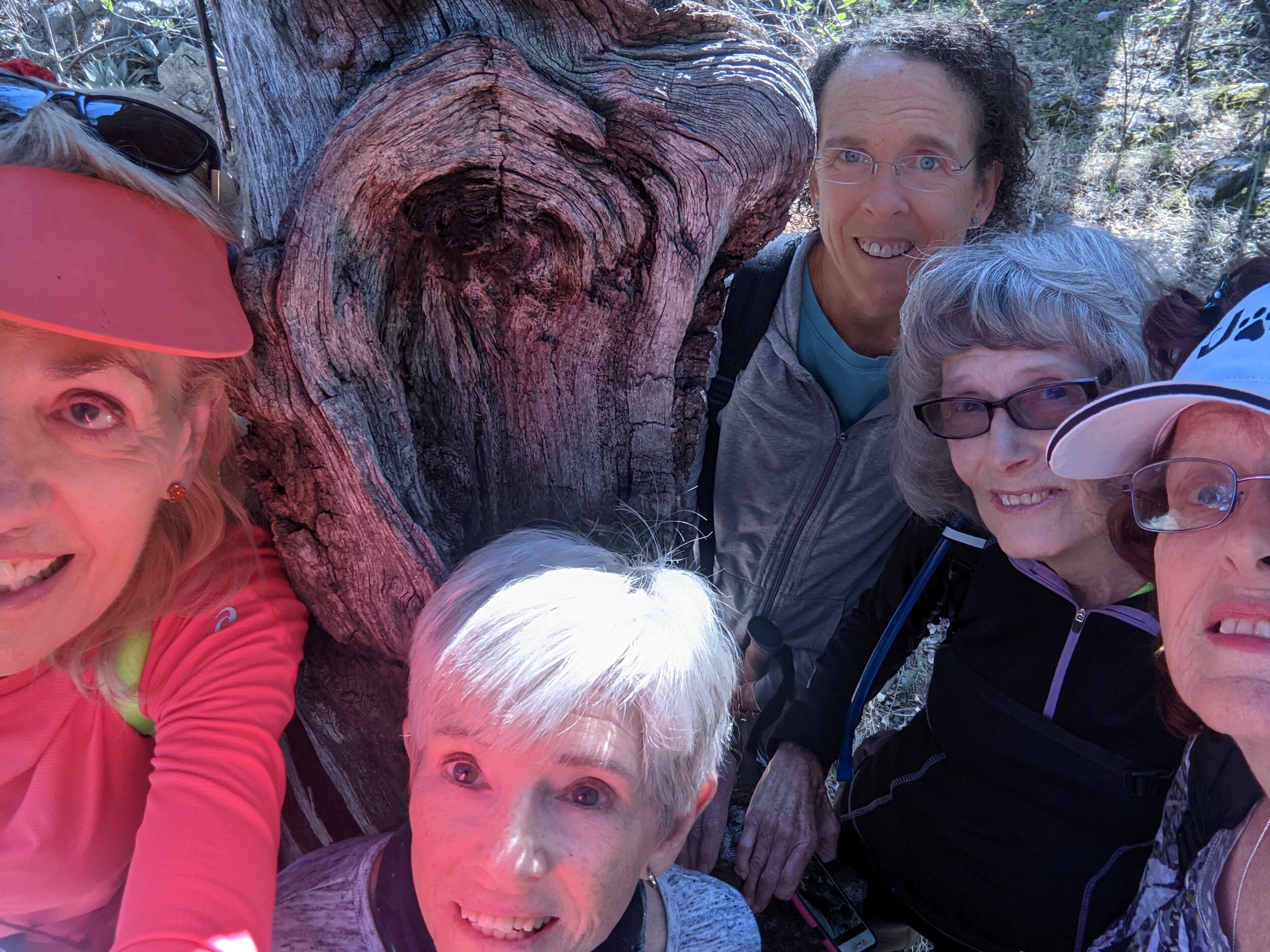 2021 - Sheelite Best Boulder - Monday Hikers -6.JPG