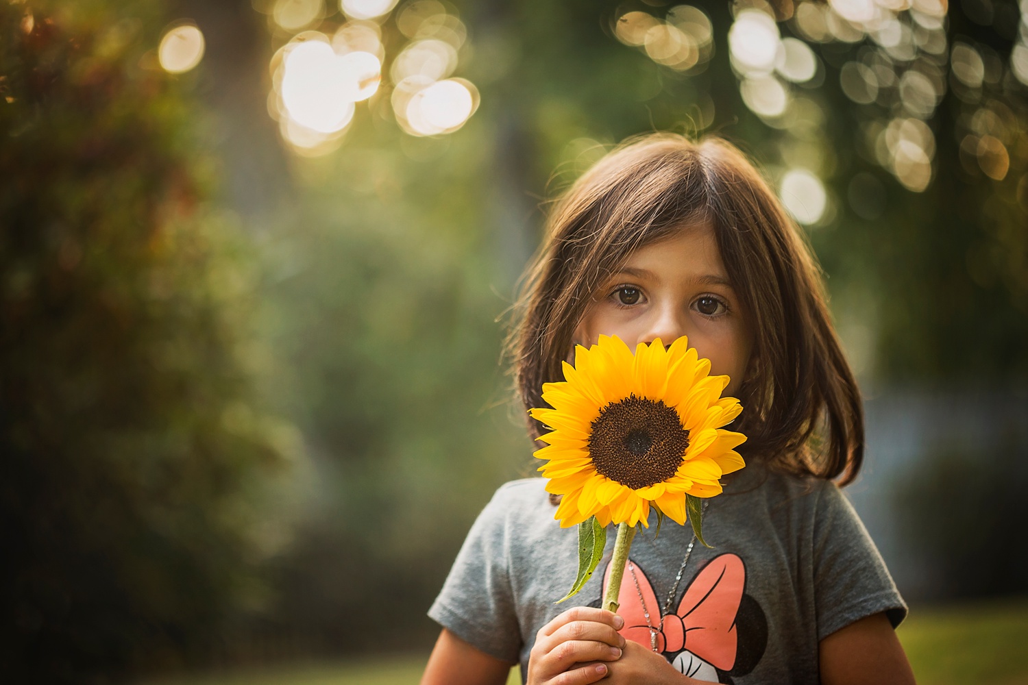 Sunflowers_Morristown_NJ_Photographer_0001.jpg