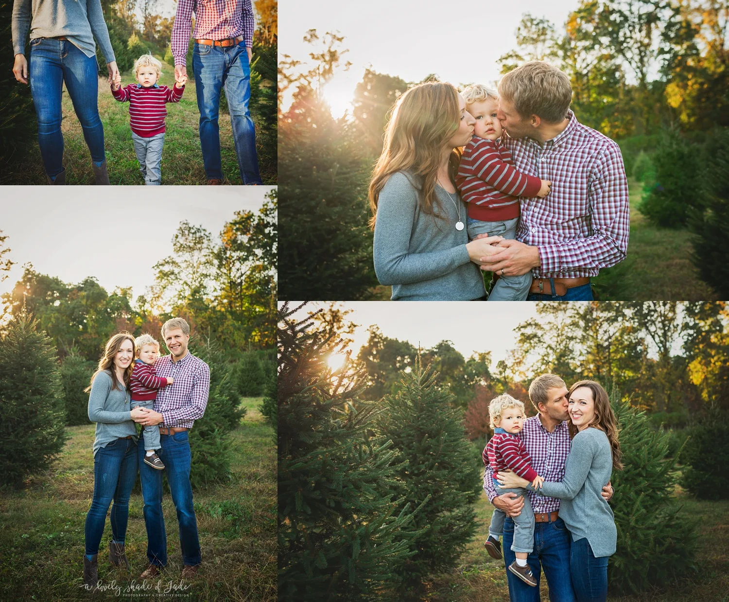 Christmas Tree Farm Minis Mendham Nj A Lovely Shade Of Jade Photography New Jersey Natural Light Photographer