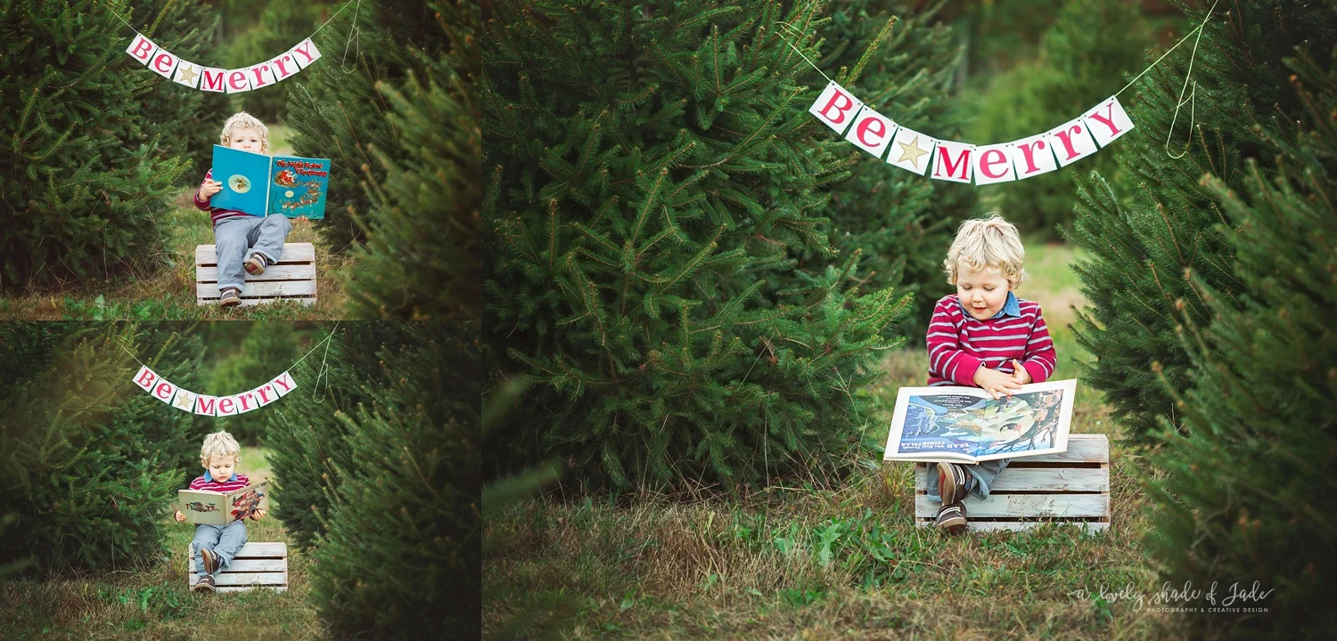 Tree_Farm_Mini_Morristown_NJ_Photographer_0002.jpg