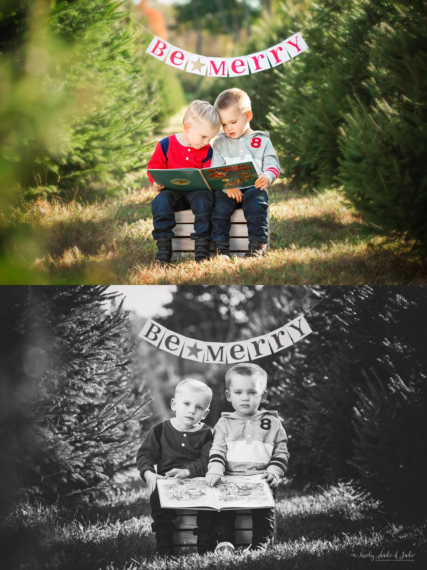 Causer_Tree_Farm_Mini_Morristown_NJ_Photographer_0001.jpg