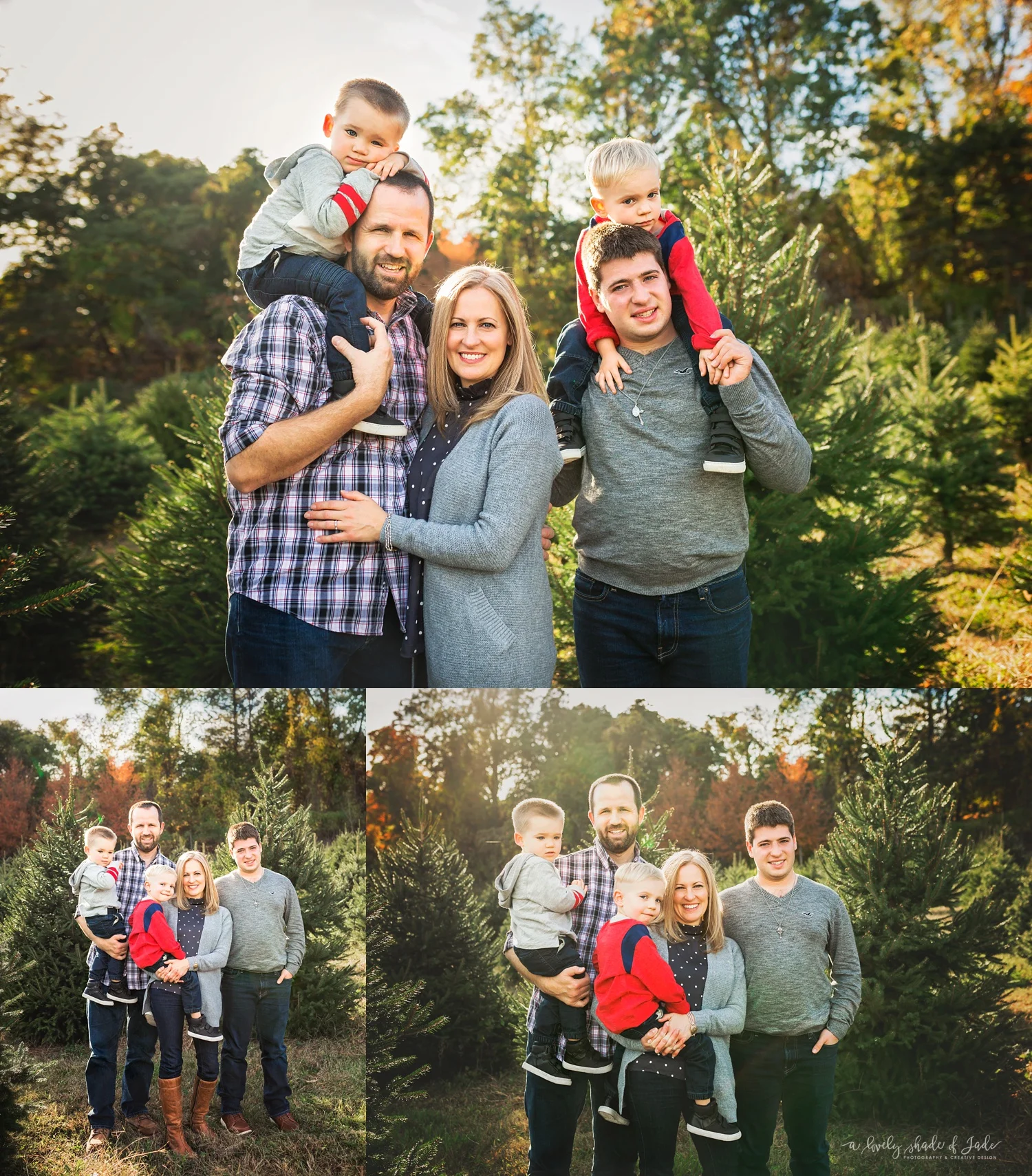Causer_Tree_Farm_Mini_Morristown_NJ_Photographer_0004.jpg