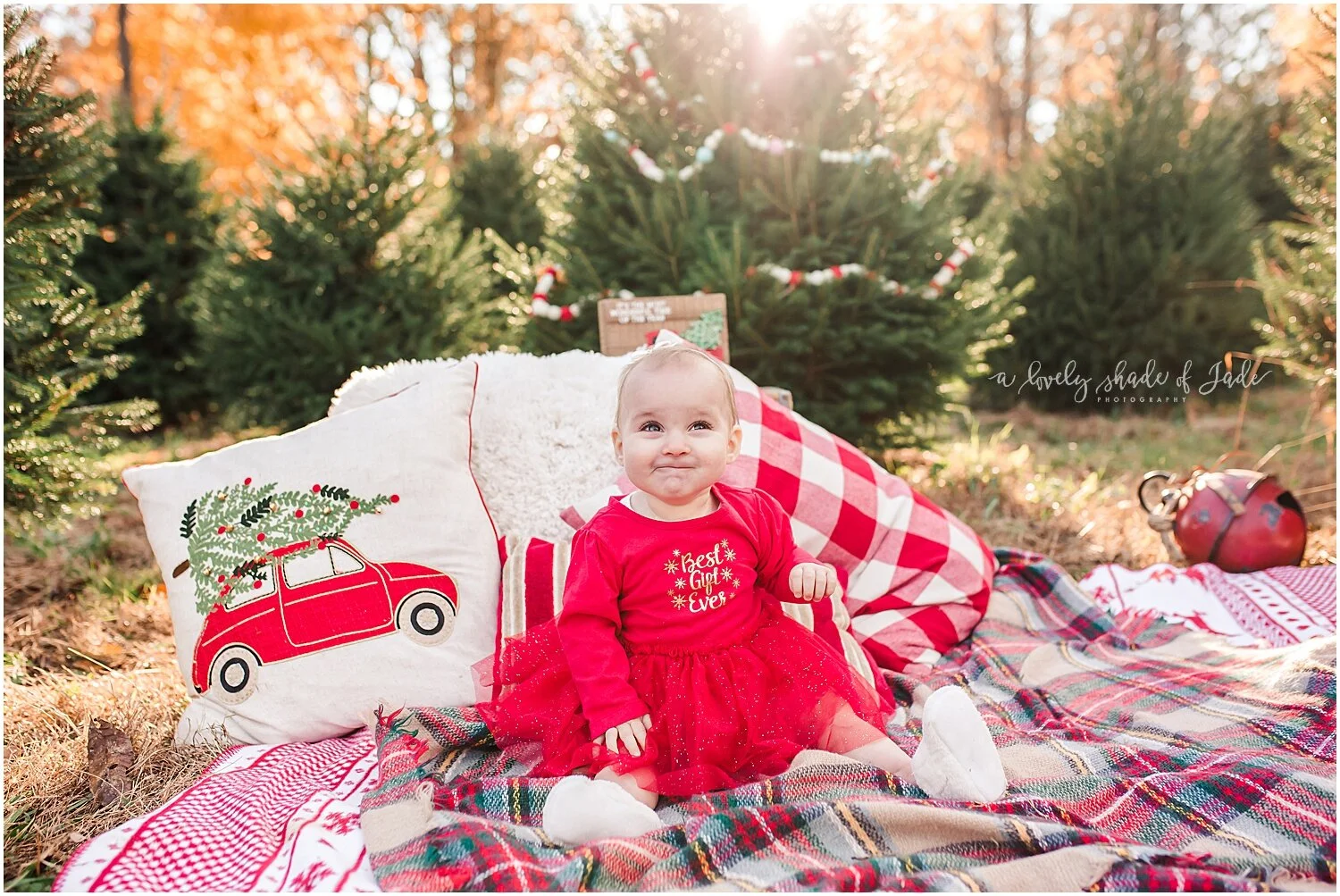 Reposa_Tree_Farm_Minis_Mendham_NJ_0001-1.jpg