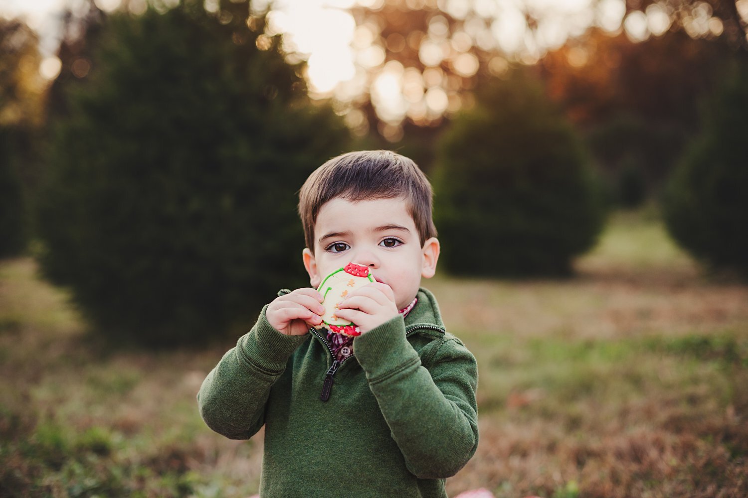 Tree_Farm_Minis_NJ_Photographer_0011.jpg