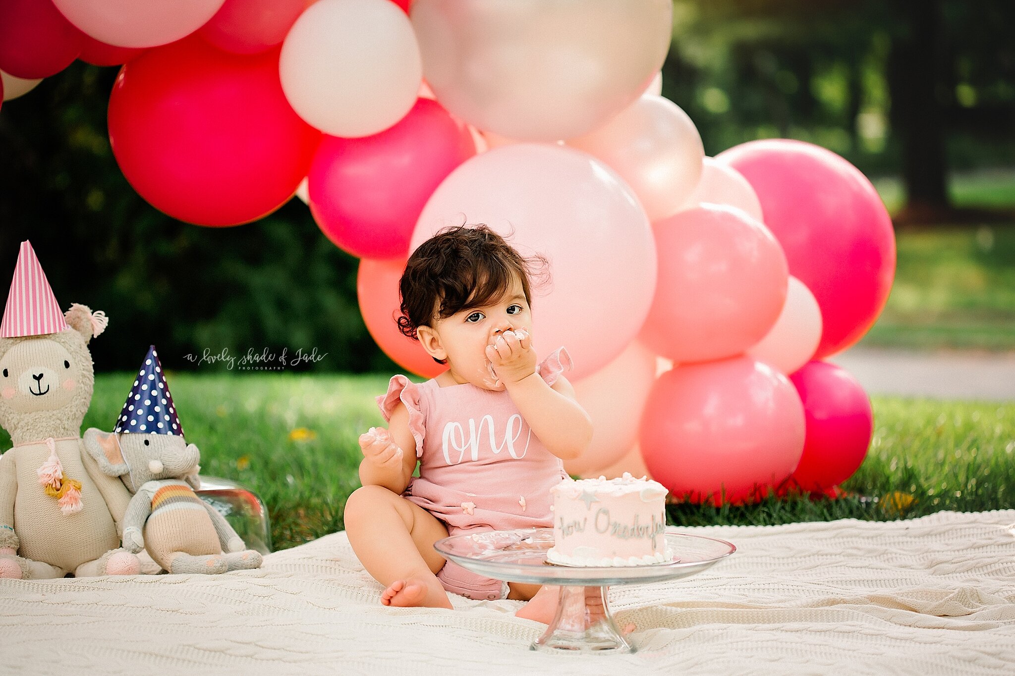 1st_Birthday_Cake_Smash_North_New_Jersey_Photographer_0008.jpg