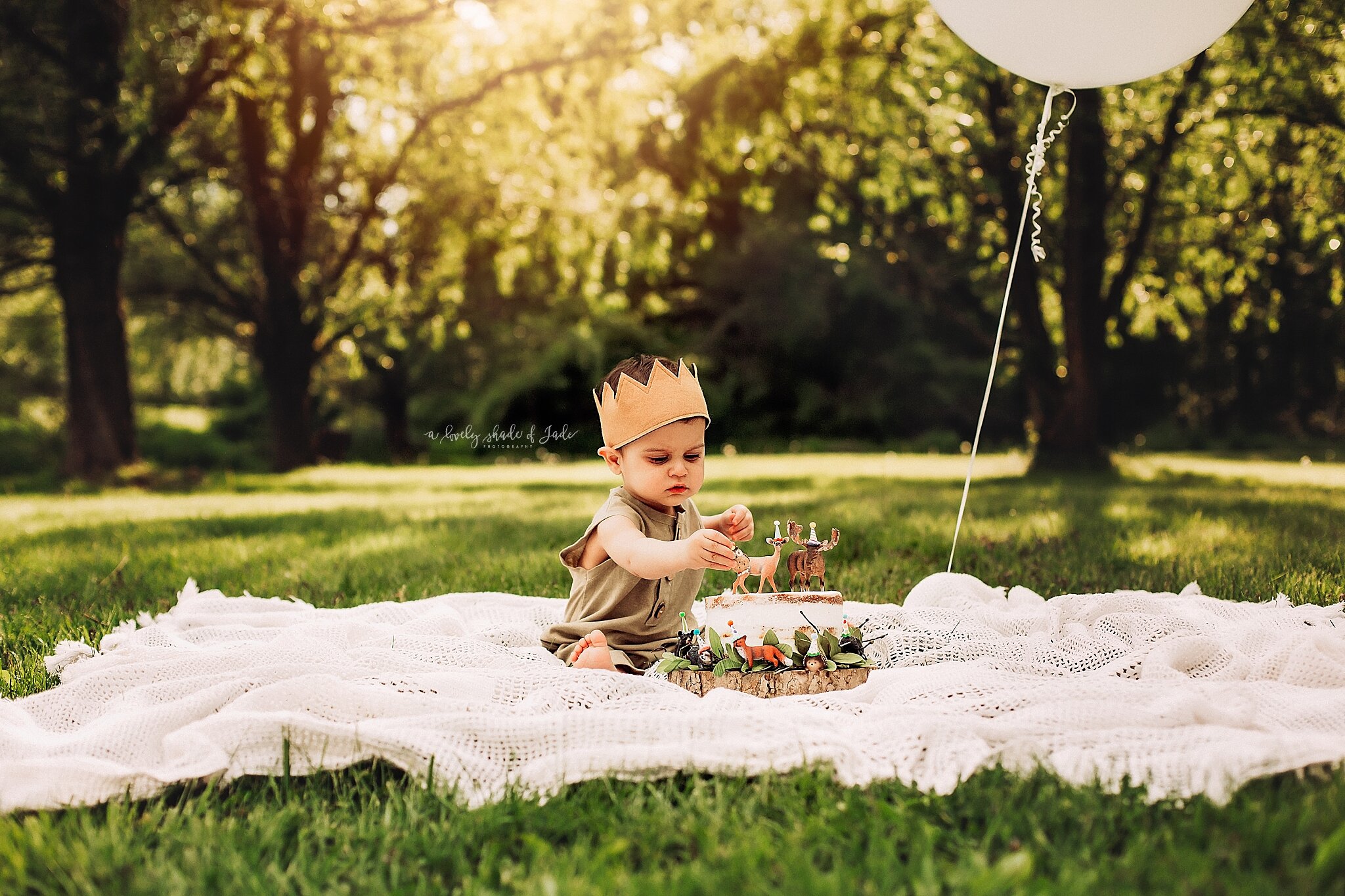 Woodland Themed Cake Smash New Jersey Photographer_0000.jpg